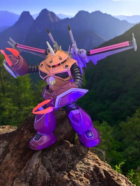 HG ズゴック seed freedom 全塗装 完成品!!
