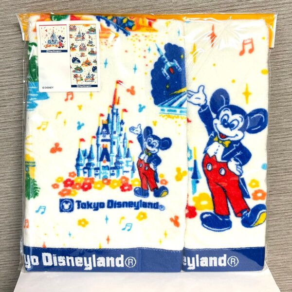MAKE YOUR FAVORITE タオルセット TDR Disney ディズニー ミッキー 東京ディズニーランド リゾート