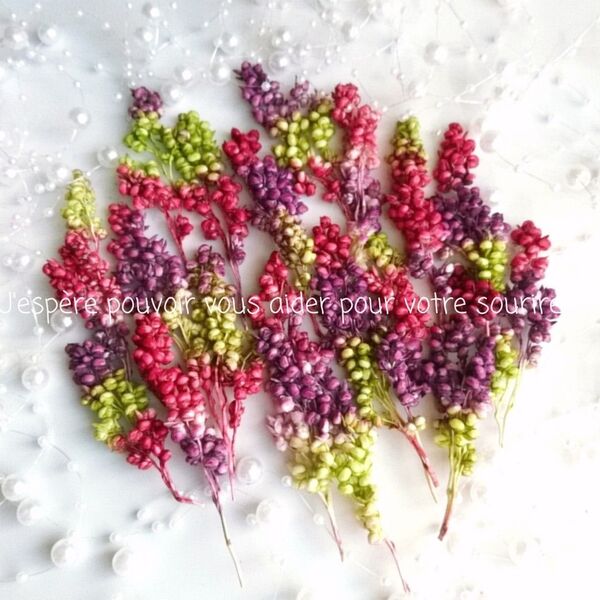 加工花材* インディアンコーン プリザーブドフラワー ハーバリウム レジン アレンジメント 花材