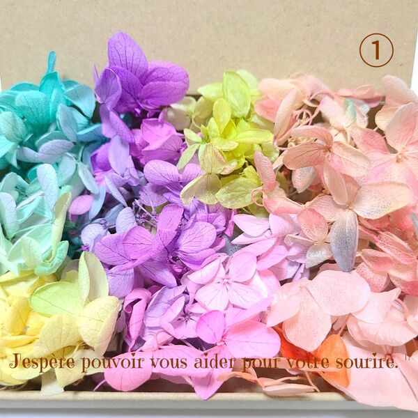 加工花材* SALE ① アジサイ プリザーブドフラワー ハーバリウム レジン 花材