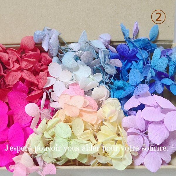 加工花材* SALE ② アジサイ プリザーブドフラワー ハーバリウム レジン 花材