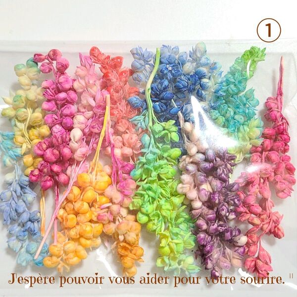 加工花材* SALE ① インディアンコーン プリザーブドフラワー ハーバリウム レジン 花材