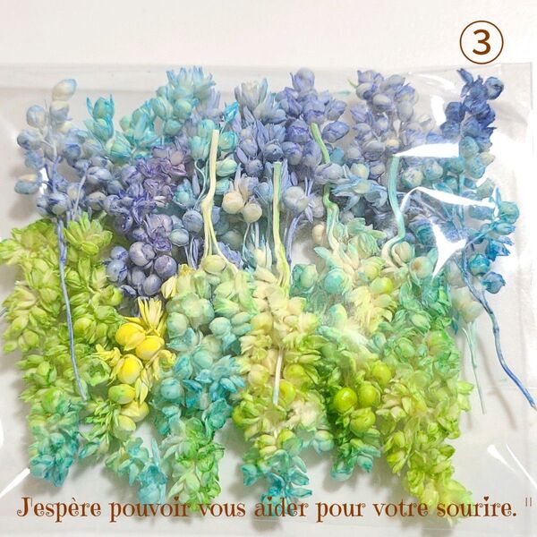 加工花材* SALE ③ インディアンコーン プリザーブドフラワー ハーバリウム レジン 花材