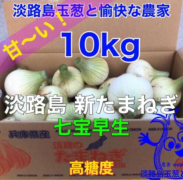 淡路島産 新玉ねぎ 七宝早生10kg 高糖度 新たまねぎ