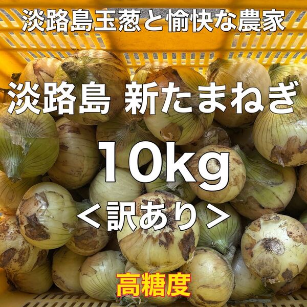 <訳あり>淡路島産 新玉ねぎ 10kg 高糖度 新たまねぎ 新玉葱