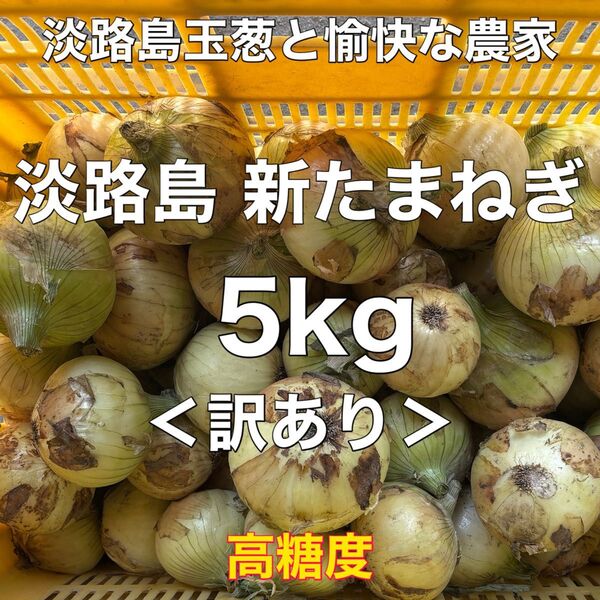 <訳あり>淡路島産 新玉ねぎ 5kg 高糖度 新たまねぎ 新玉葱