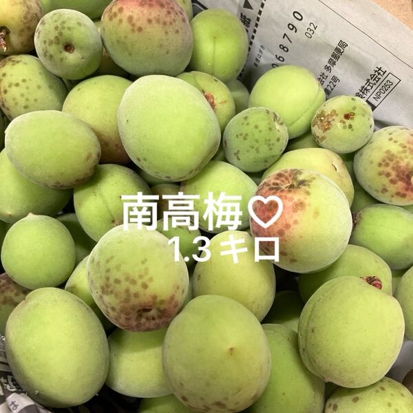 南高梅 青梅 無農薬