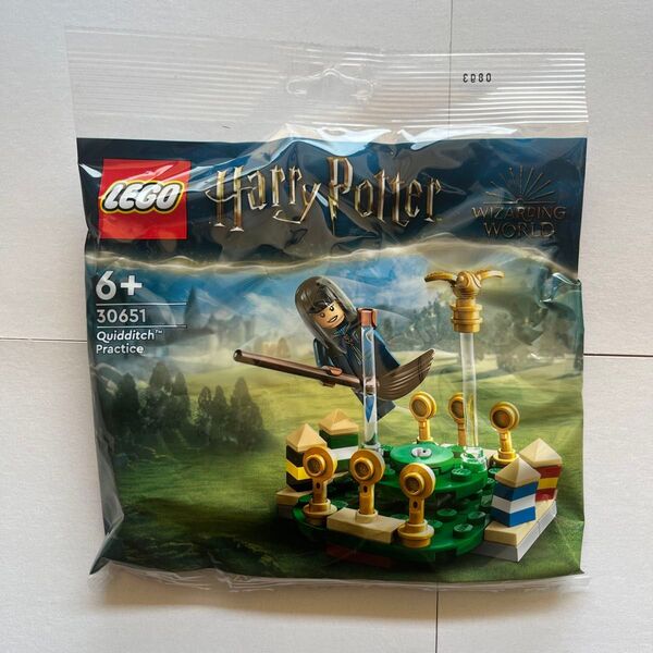 レゴ Harry Potter 30651 新品 レゴ ハリーポッター クィディッチの魔法 LEGO 30651