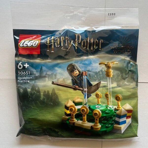 レゴ Harry Potter 30651 新品 レゴ ハリーポッター クィディッチの魔法 LEGO 30651