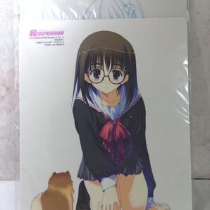 新品未使用 RASPBERRY ドリマガ2003年8月号 vol11 特別付録 3点セット ラズベリー