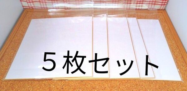 色紙 無地【5枚セット】白色 サイン等に まとめ売り