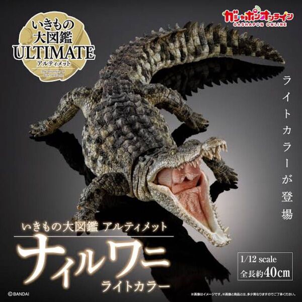 いきもの大図鑑 アルティメット ナイルワニ ガチャ ガシャポンオンライン