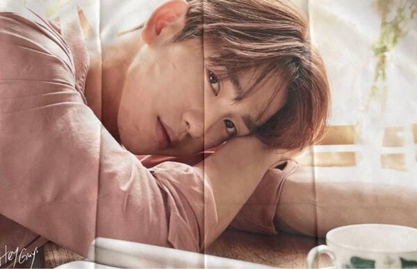 未使用 GOT7 Jinyoung PHOTO FABRIC POSTER