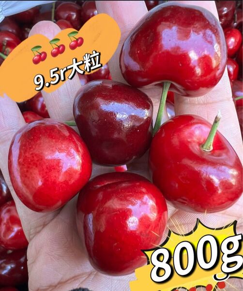 超大粒!9.5r アメリカンチェリー800g 母の日 父の日 中元 家庭用 数量限定 ポスト投函 車厘子 美國櫻桃 さくらんぼ