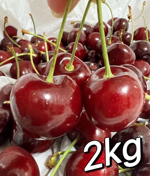 特売日 常温便 10.5rowアメリカンチェリー2kg 父の日 中元 家庭用 ポスト投函 車厘子 さくらんぼ 国内検品