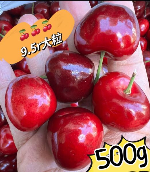 超大粒!9.5r アメリカンチェリー500g 母の日 父の日 中元 家庭用 ポスト投函 車厘子 美國櫻桃 さくらんぼ 国内検品発送