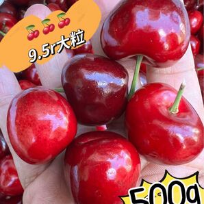 超大粒!9.5r アメリカンチェリー500g 母の日 父の日 中元 家庭用 ポスト投函 車厘子 美國櫻桃 さくらんぼ 国内検品発送