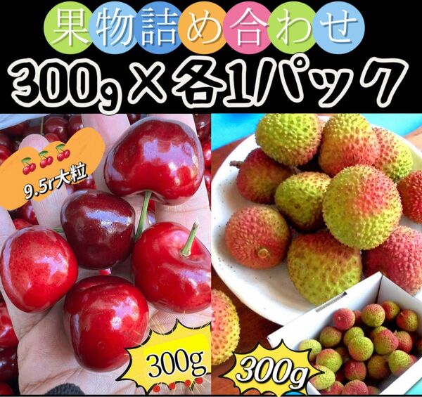 新鮮 果物 常温便 9.5row超大粒アメリカンチェリー300g&妃子笑生ライチ300g