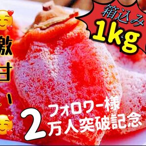『マツモト商店フォロワー様3万人突破記念セール』無農薬栽培「甘蜜干し柿」箱込み1kg 干柿 干しがき 訳あり 冷凍でも美味しい