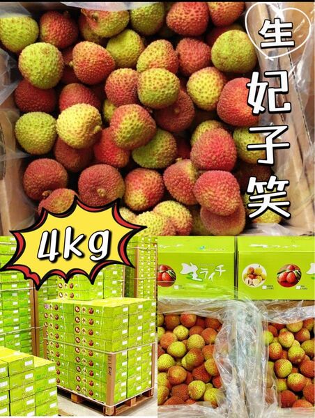 4kg 常温便 新鮮 生ライチ 厳選南国フルーツ 香りが強いみずみずしい 茘枝 果物 家庭用 お中元