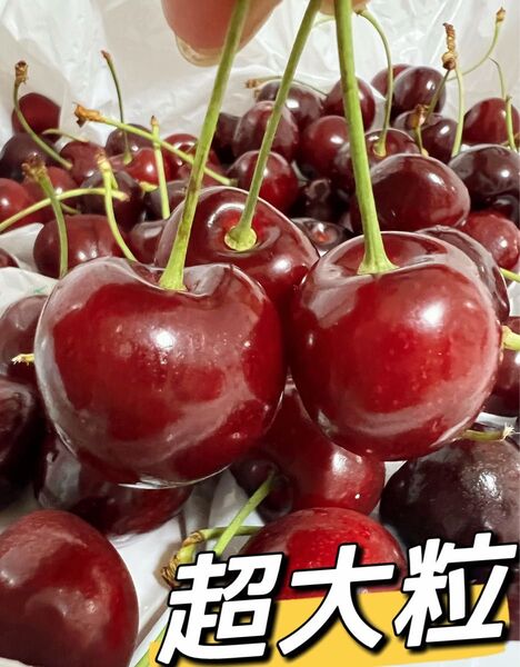 超大粒!9.5r アメリカンチェリー箱こみ1kg 母の日 父の日 中元 家庭用 数量限定 ポスト投函 車厘子 美國櫻桃 さくらんぼ