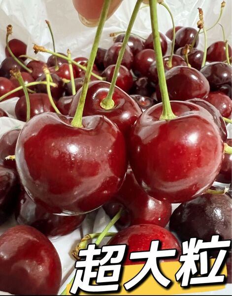 超大粒!9.5r アメリカンチェリー箱こみ1kg 母の日 父の日 中元 家庭用 数量限定 ポスト投函 車厘子 美國櫻桃 さくらんぼ