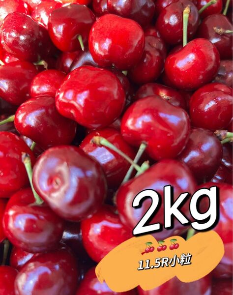 常温便 アメリカンチェリー2kg 父の日 中元 家庭用 ポスト投函 車厘子 美國櫻桃 さくらんぼ 国内検品