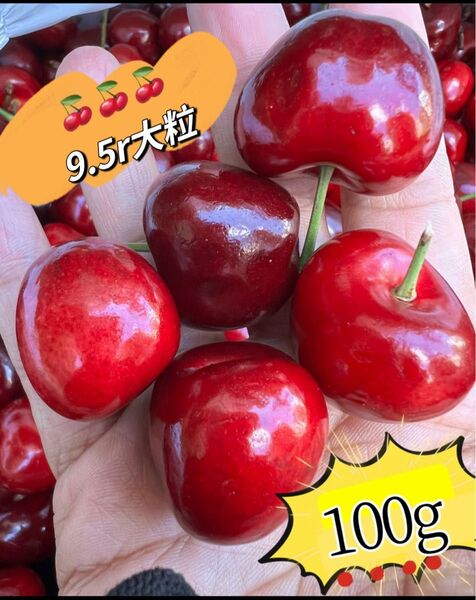 超大粒!9.5r アメリカンチェリー100g 母の日 父の日 中元 家庭用 数量限定 ポスト投函 車厘子 美國櫻桃 さくらんぼ