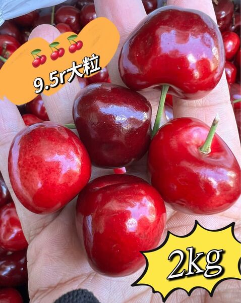 2kg 超大粒!9.5r アメリカンチェリー 母の日 父の日 中元 家庭用 数量限定 車厘子 美國櫻桃 さくらんぼ 国内検品発送