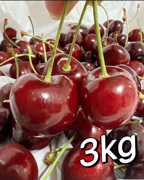 特売日 常温便 10.5rowアメリカンチェリー3kg 父の日 中元 家庭用 ポスト投函 車厘子 さくらんぼ 国内検品