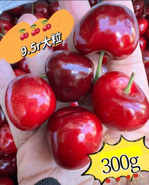 超大粒!9.5r アメリカンチェリー300g 母の日 父の日 中元 家庭用 ポスト投函 車厘子 美國櫻桃 さくらんぼ 国内検品発送
