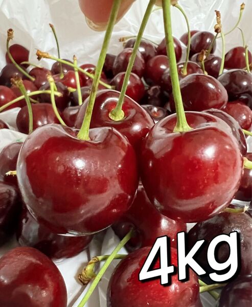 特売日 常温便 10.5rowアメリカンチェリー4kg 父の日 中元 家庭用 ポスト投函 車厘子 さくらんぼ 国内検品