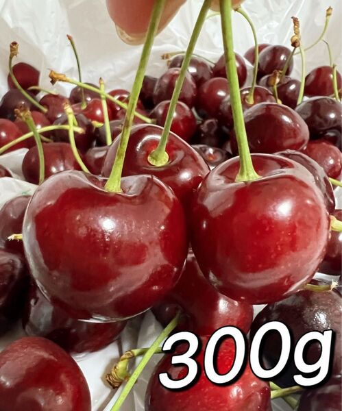 特売日 常温便 10.5rowアメリカンチェリー300g 父の日 中元 家庭用 ポスト投函 車厘子 さくらんぼ 国内検品