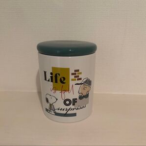 【新品未使用】USJ ユニバ スヌーピー チャーリーブラウン キャニスター ステンレス キッチン 入れ物