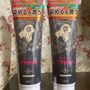 フラガール カラートリートメント アッシュブラウン 250g×2本
