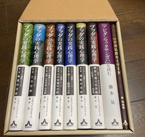 ブッダの実践心理学完結記念セットBOX アビダンマ講義シリーズ 10巻セット