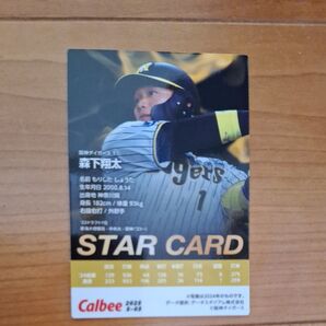 プロ野球チップス2025森下翔太スターカード