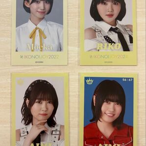 ニアジョイ イコノイジョイ2024 ミニフォト セット 小澤 藤沢 福山