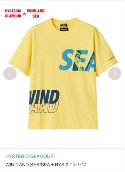 【希少】HYSTERIC GLAMOUR×WIND AND SEA コラボTシャツ ヒスガール ユニセックス 02203CT14