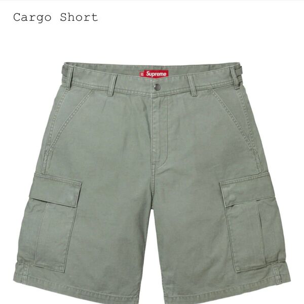 supreme cargo short 30 25ss