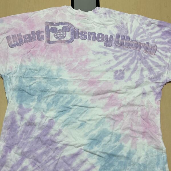 SPIRIT JERSEY スピリットジャージ スピジャ Disney ディズニー Walt Disney World Lサイズ