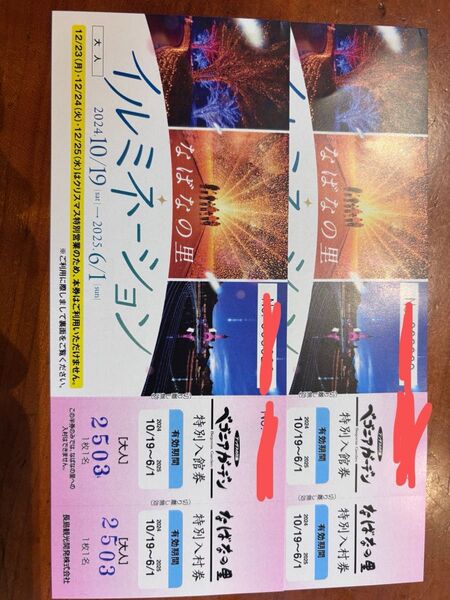2枚 なばなの里 イルミネーション ベゴニアガーデン 有効期限2025/6/1