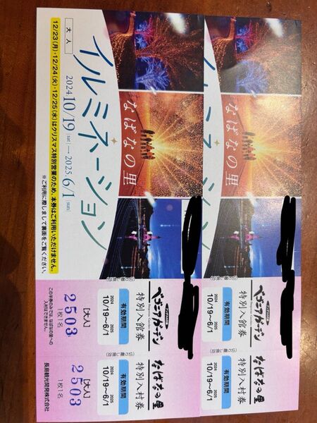 2枚なばなの里 イルミネーション ベゴニアガーデン 有効期限2025/6/1