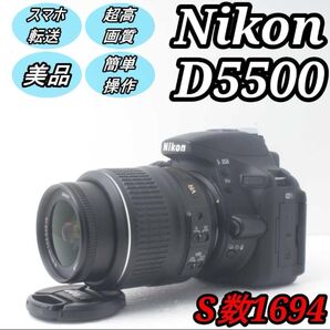 動作OK・液晶不良 Nikon D5500☆高画質2416万画素初心者に♪