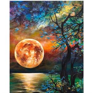 簡単 数字でペイント 初心者向け アクリル 水彩絵の具 大人用 子供用