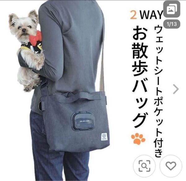 スケーター お散歩バッグ ウェットシートポケット付 ショルダーバッグ 斜めがけ おでかけ 肩掛け