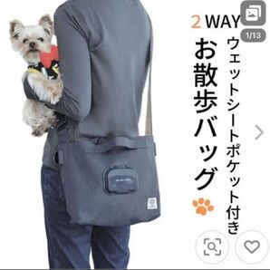 スケーター お散歩バッグ ショルダーバッグ 斜めがけ おでかけ ウェットシートポケット付 ショルダー