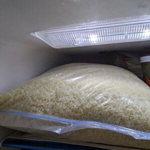 匿名配送送料込み 古米 白米奈良県産ひとめぼれと岐阜県産ハツシモ合わせて1.2kg+愛知県産もち米少々オマケ