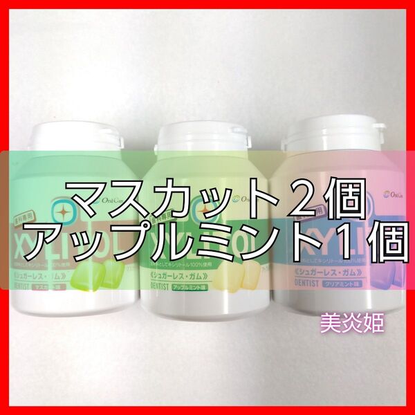 歯科専用 ロッテ キシリトールガム ボトル 153g 3個セット