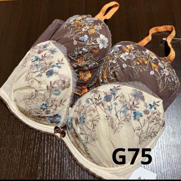 ワコール アンフィブラジャー G75 2点
